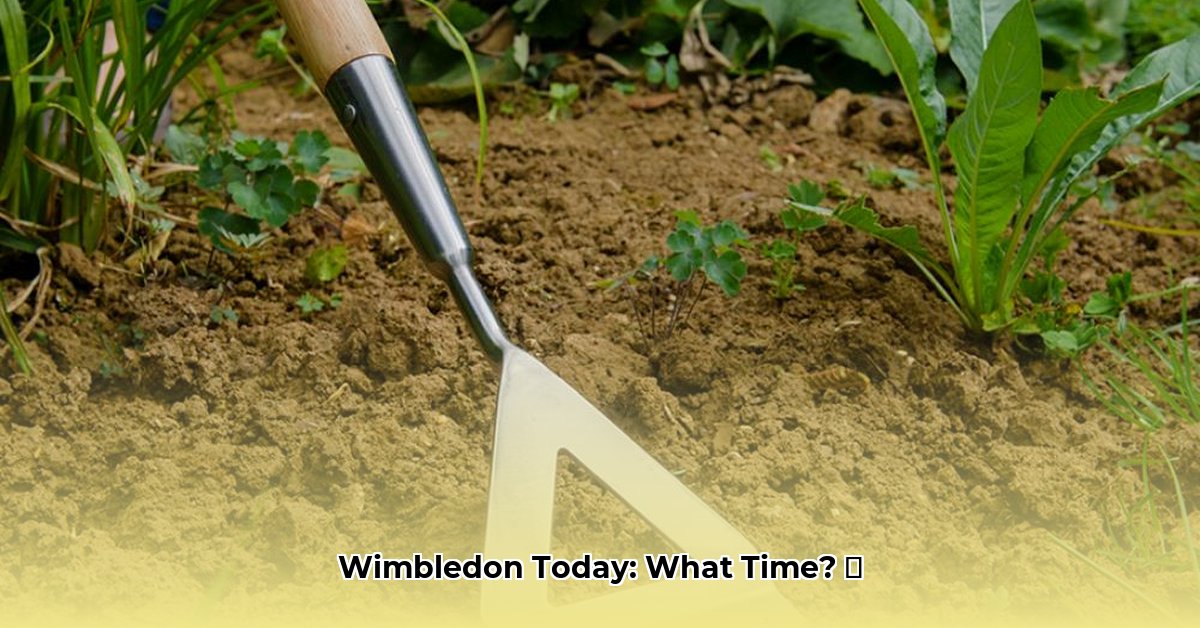 hoe-laat-begint-wimbledon-vandaag